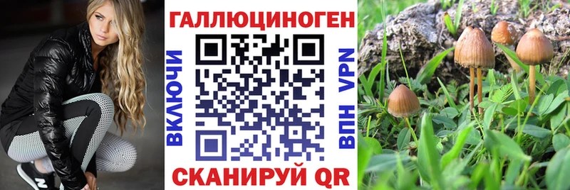 наркота кракен ONION Псилоцибиновые грибы Psilocybine cubensis Светлый